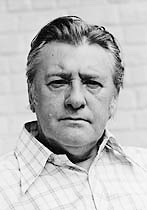 Louis Paul  Boon