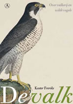 The Falcon
