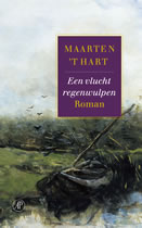 Een vlucht regenwulpen
